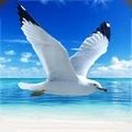 //imgs.ccnukids.com/ccnukids/11/51775-2025020812000367a6d6c3a2a6a.jpg