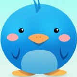 企鹅窝app