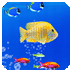 //imgs.ccnukids.com/ccnukids/18/85075-2025041510480267fdc8e278c4a.jpg