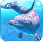 海底世界冒险3D手机版