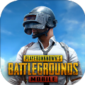 PUBG国际服直装科技小橘子